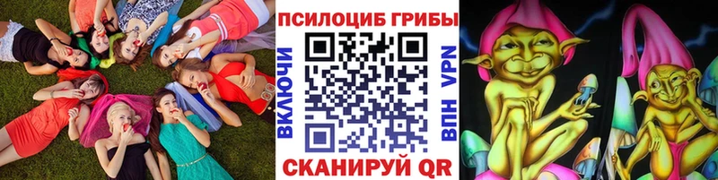 мориарти состав Камень-на-Оби Псилоцибиновые грибы MAGIC MUSHROOMS кракен вход