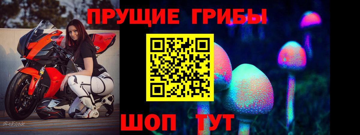 Псилоцибиновые грибы мухоморы Камень-на-Оби